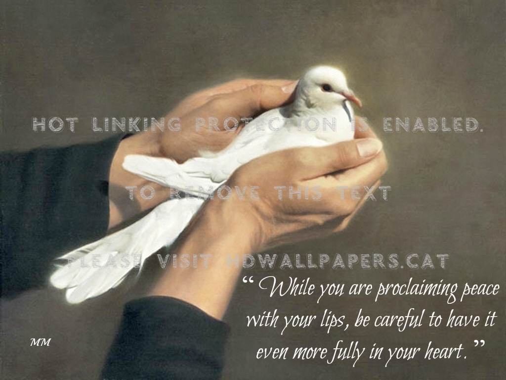 Peace Words Dove Wisdom Animals Quotes Bird - Quotes On Peace With Birds - HD Wallpaper 