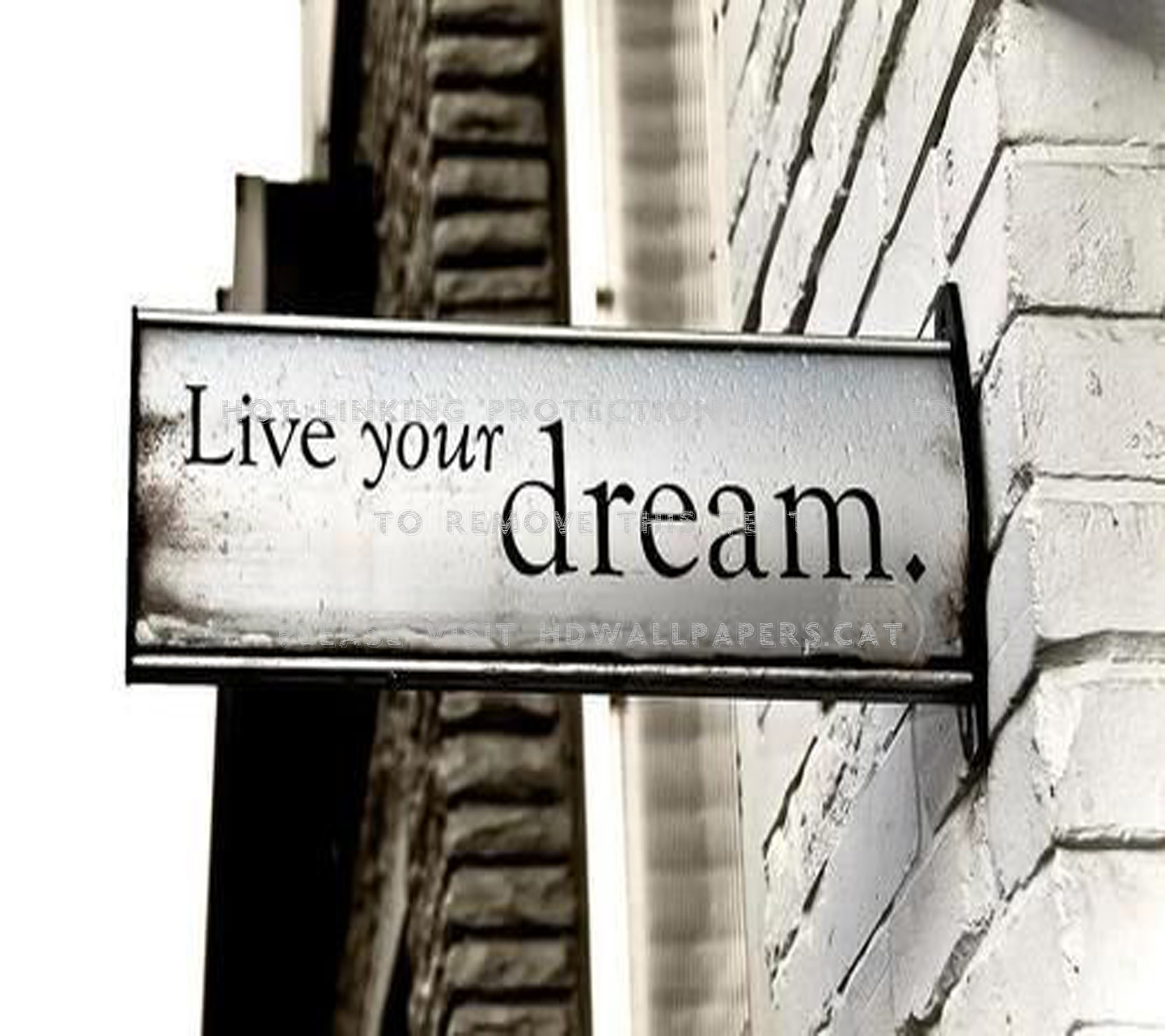 Dream Loving Humor Wisdom Art Words Love - Living Your Dreams - HD Wallpaper 