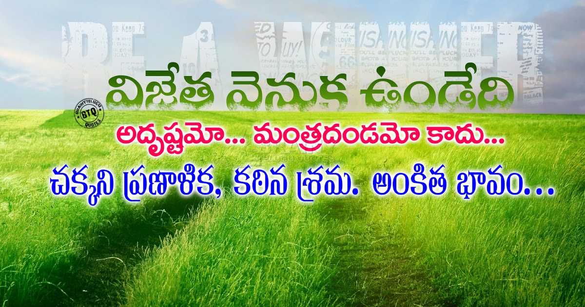 Grass - HD Wallpaper 