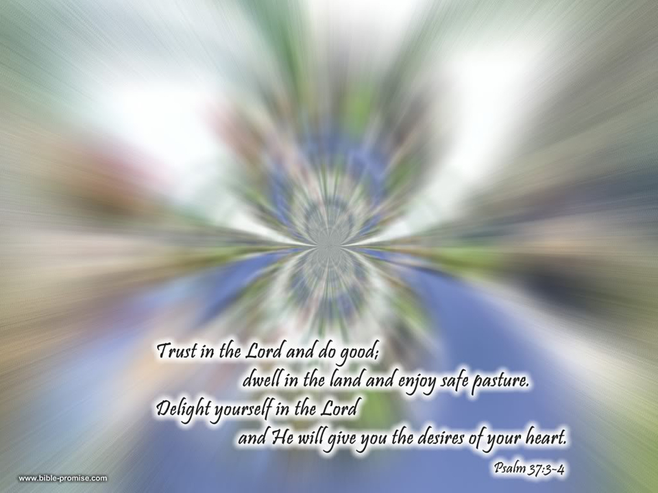 - Com,christian Wallpaper,wallpaper - Macro Photography - HD Wallpaper 