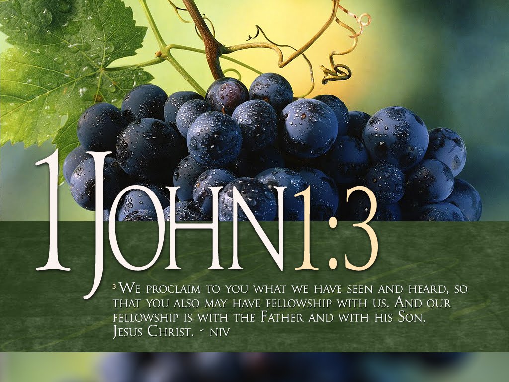 Bible Verses 1 John - Fellowship Bible Verse Niv - HD Wallpaper 