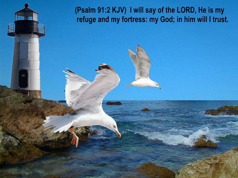 Psalm 91 2 Kjv - HD Wallpaper 