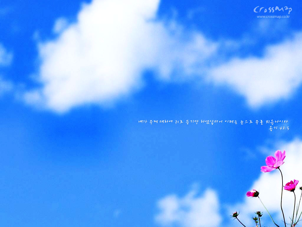 Crossmap Wallpaper 1024 - HD Wallpaper 