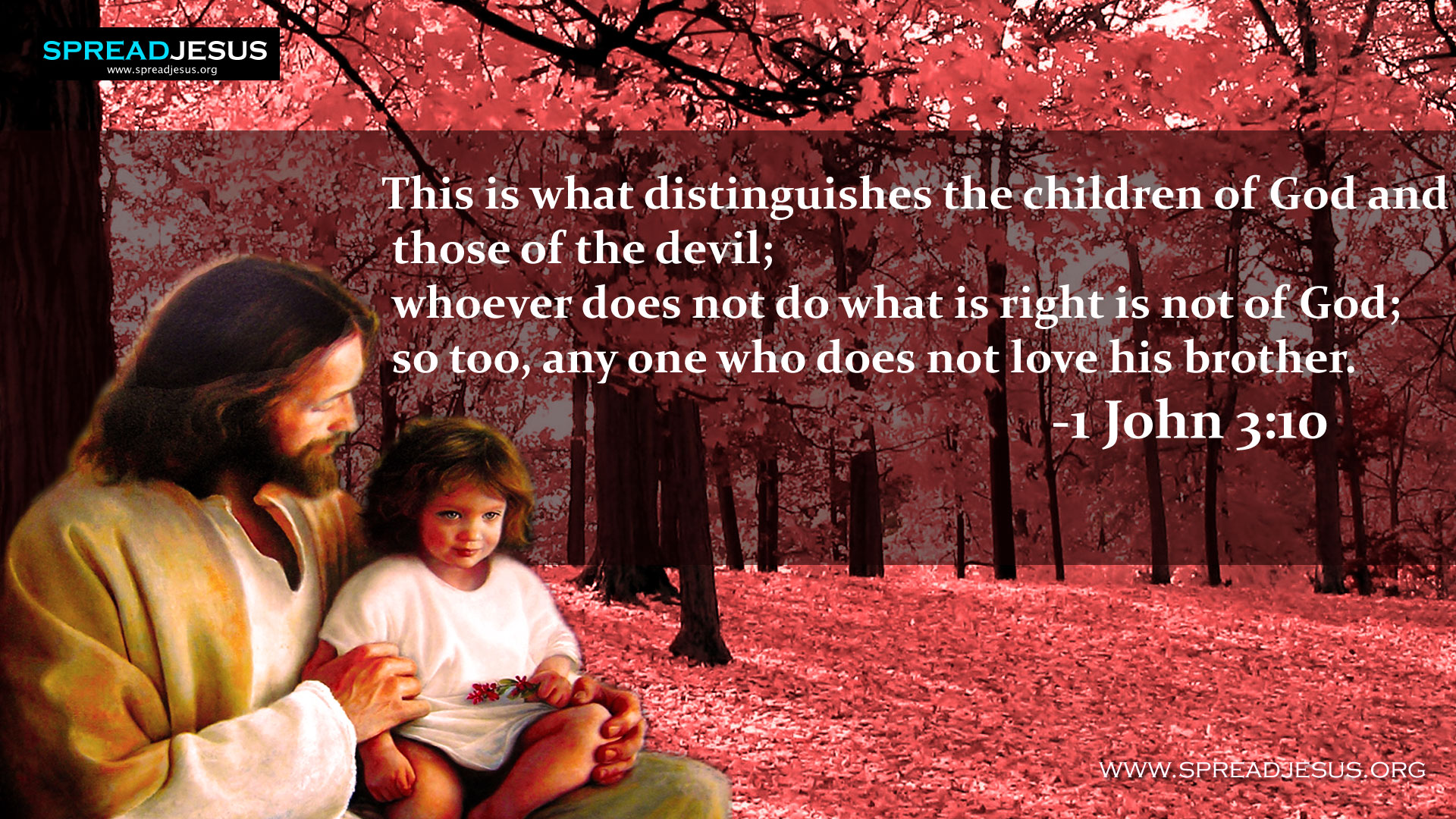 Christian Wallpaper With Scripture - HD Wallpaper 