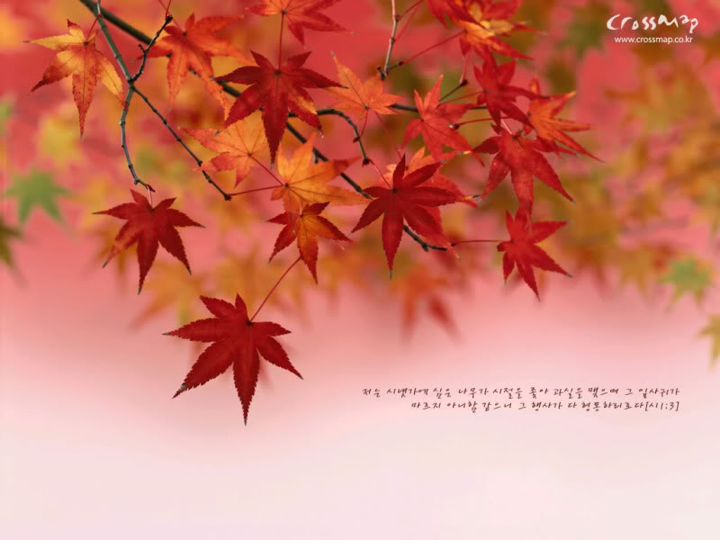 Inspirational Bible Verses Wallpaper - HD Wallpaper 