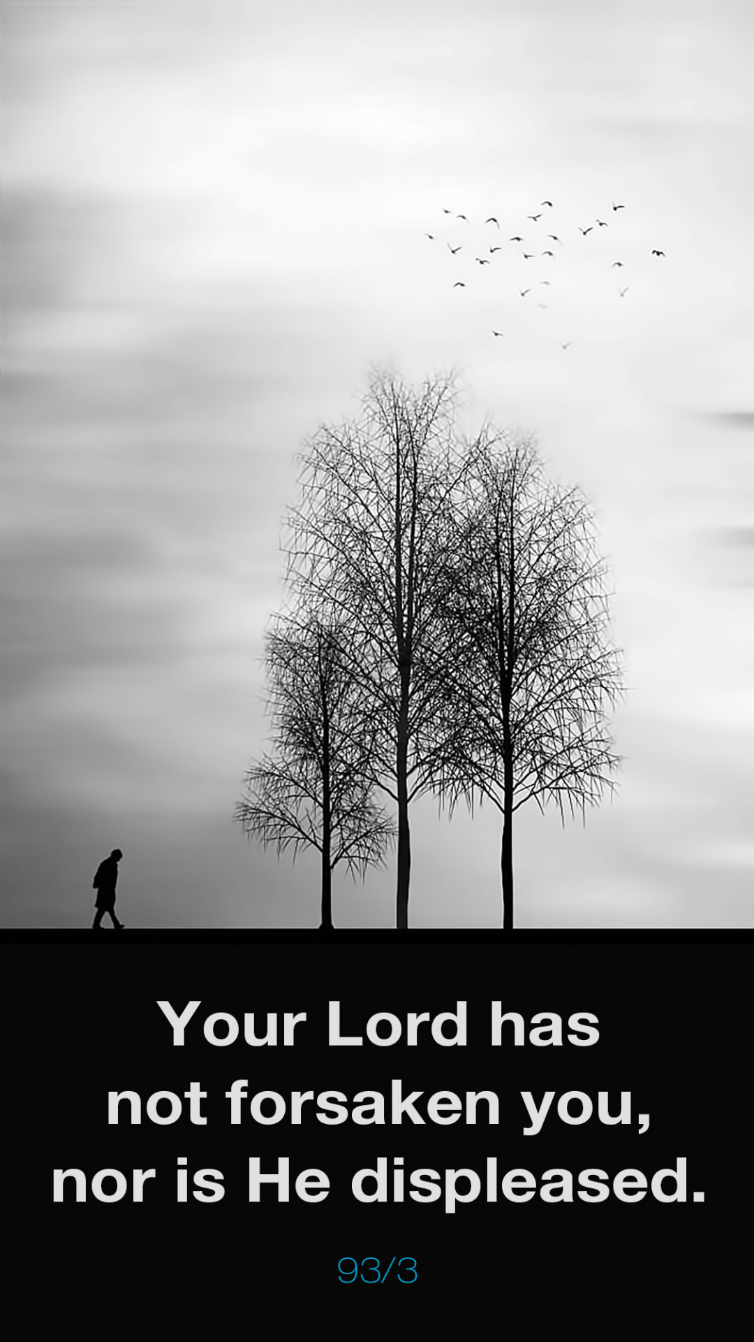 Download Türkçe 1125x2000px Download English 1125x2000px - Monochrome - HD Wallpaper 