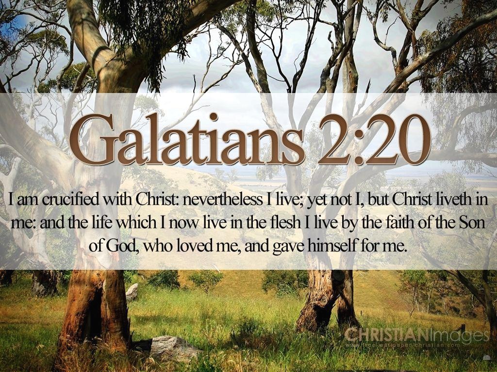 Free Bible Verse Wallpaper Kjv - Bible Quotes Galatians - HD Wallpaper 