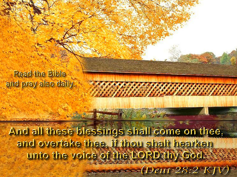 Kjv Fall Scripture Background - HD Wallpaper 