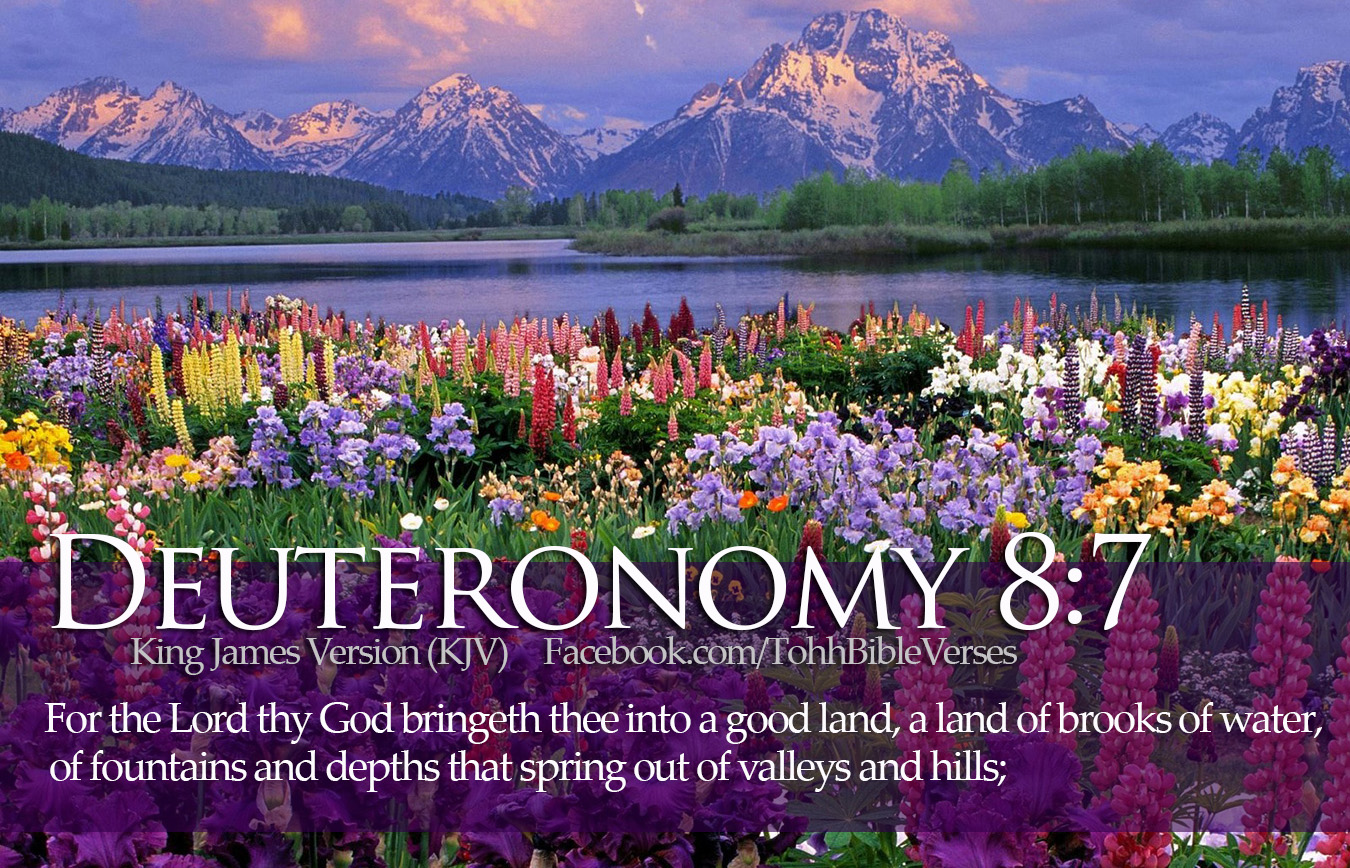 Bible Verses Deuteronomy - Grand Teton National Park, Mount Moran - HD Wallpaper 