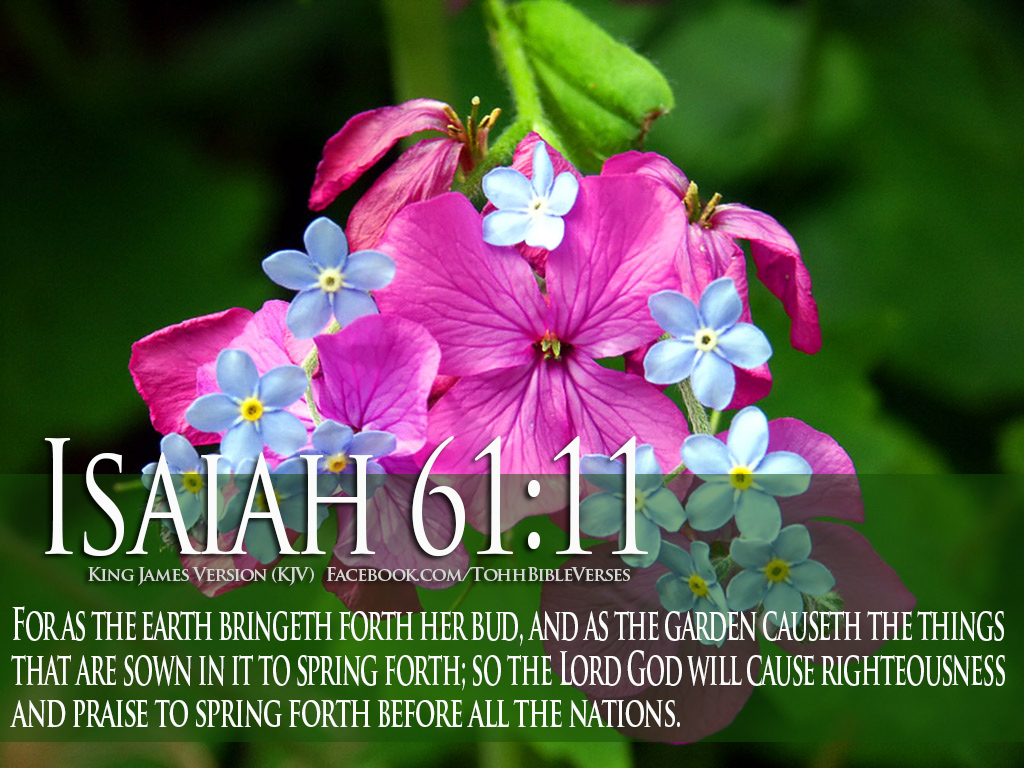 Bible Verses On Gods Love Isaiah 61 11 Flower Hd Wallpaper - Bible Verse Spring Flower - HD Wallpaper 