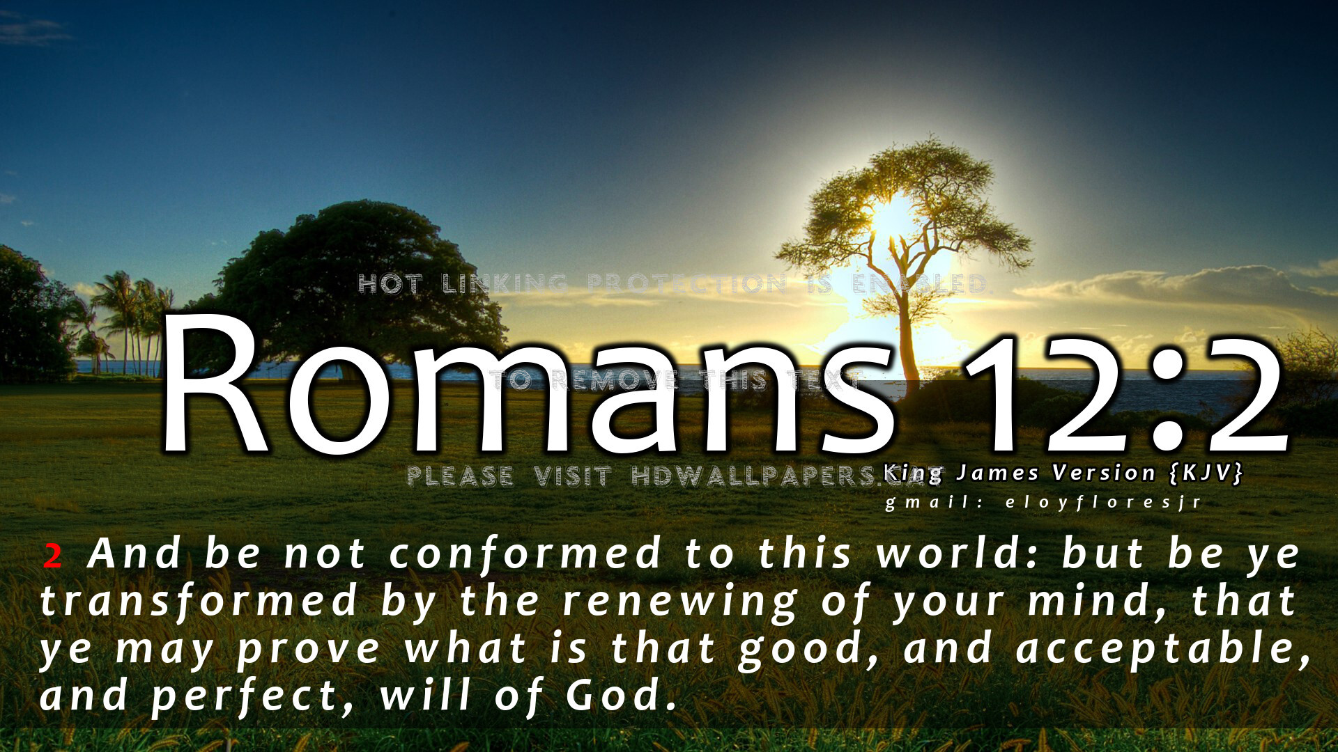 2 Bible Verse Wallpaper Nature - Bible Verses Romans 12 - HD Wallpaper 