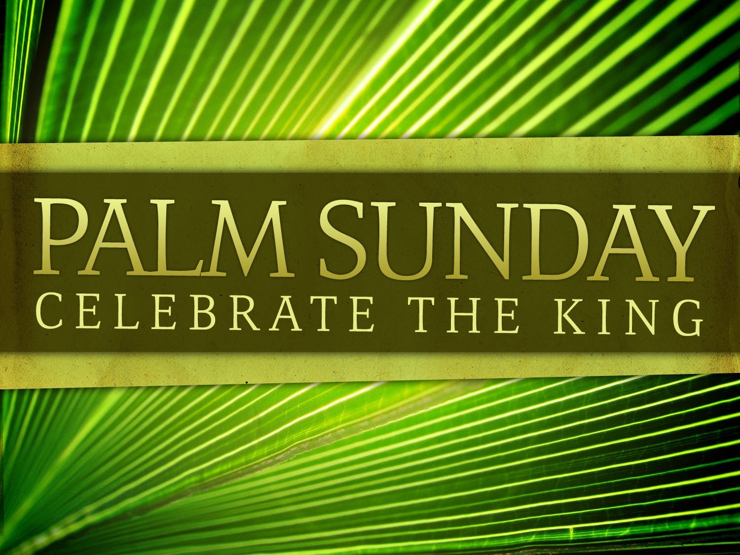 Palm Sunday Bible Verse - Palm Sunday Background Hd - HD Wallpaper 