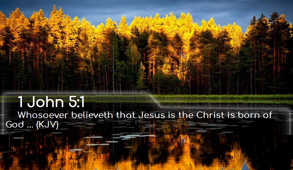 Jesus Pictures With Bible Verses Wallpapers - Stormy Sky Forest - HD Wallpaper 