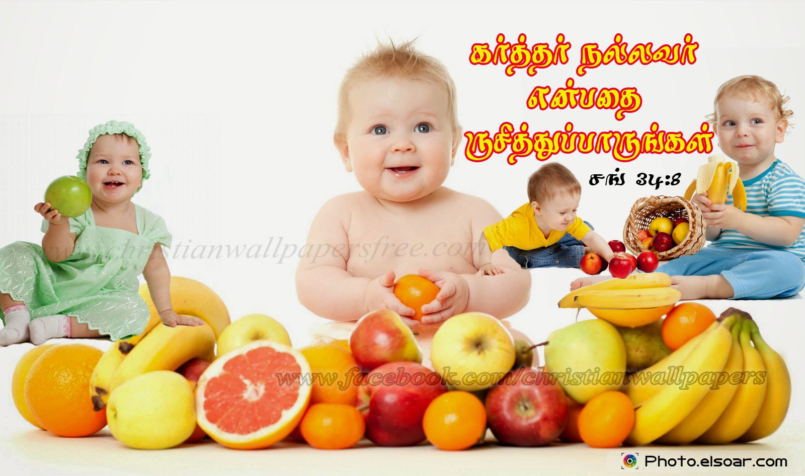 Bible Verses In Tamil Fruit - HD Wallpaper 