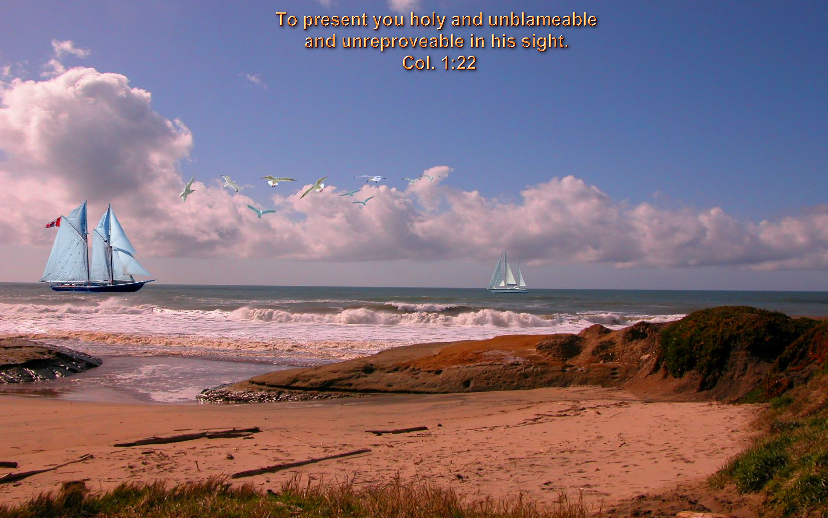 Wallpaper - HD Wallpaper 