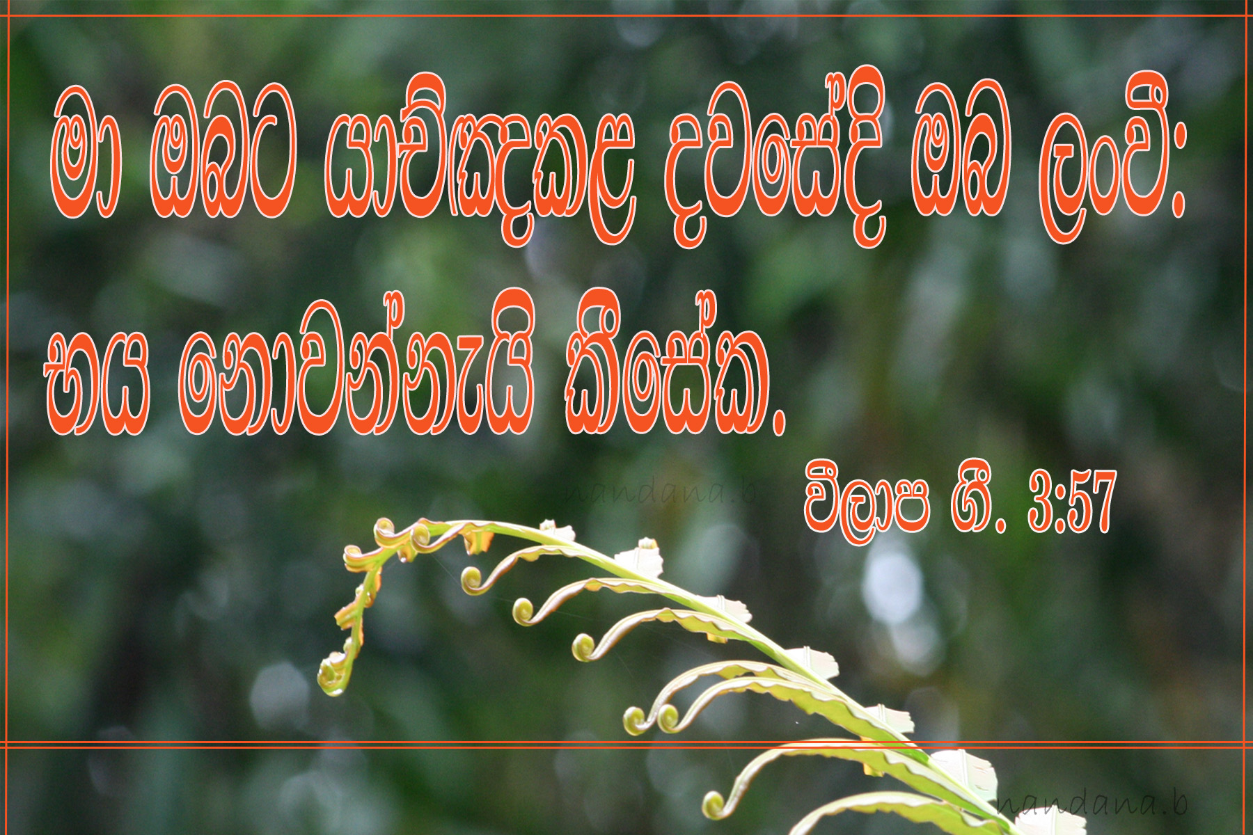 Sinhala Bible Words Wallpaper - HD Wallpaper 