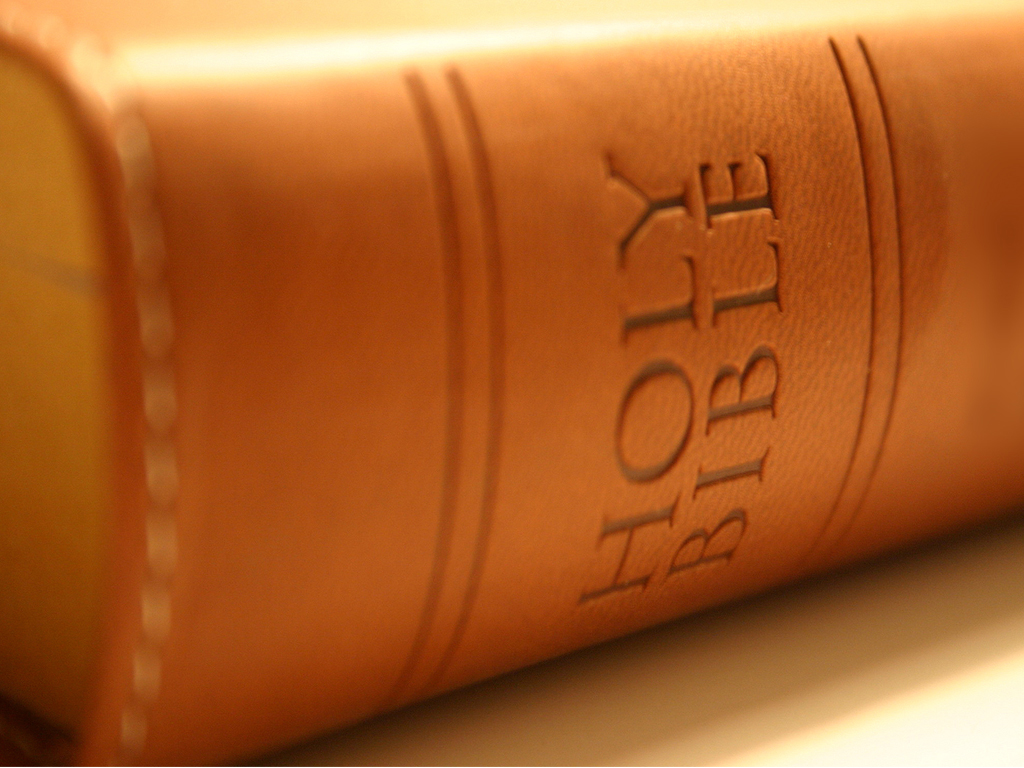 April 29 Sunday Gospel Reading - HD Wallpaper 