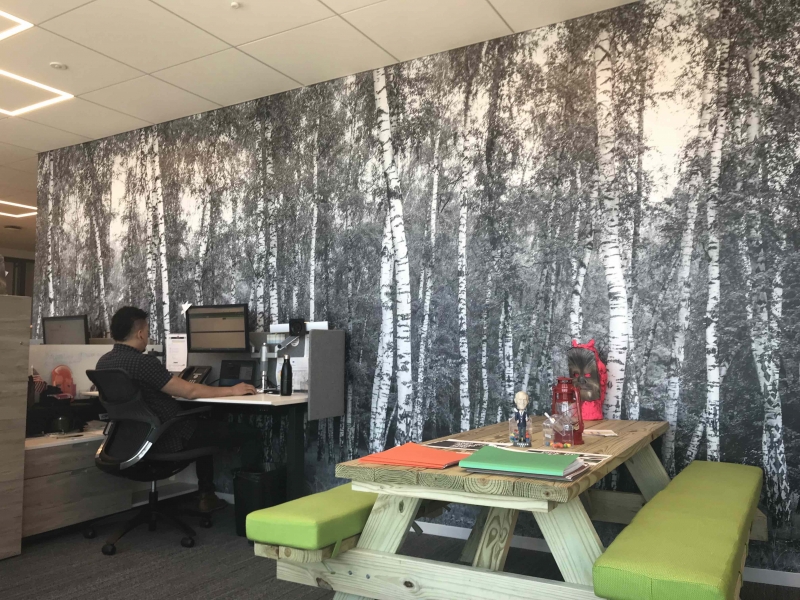 Picnic Table - HD Wallpaper 