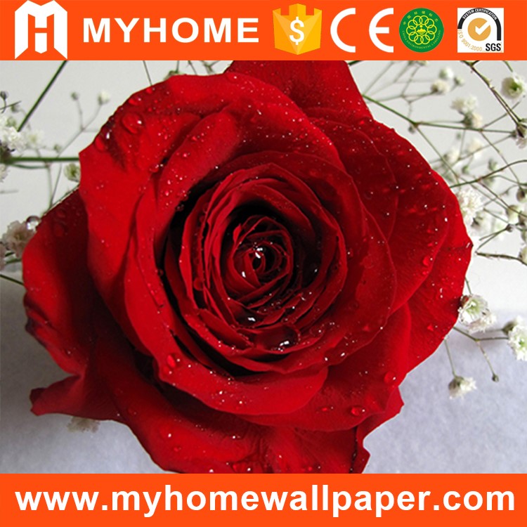 Colorful Self Adhesive Wallpaper Photo Wall Paper 3d - Contoh Gambar Wallpaper Belakang Tv - HD Wallpaper 