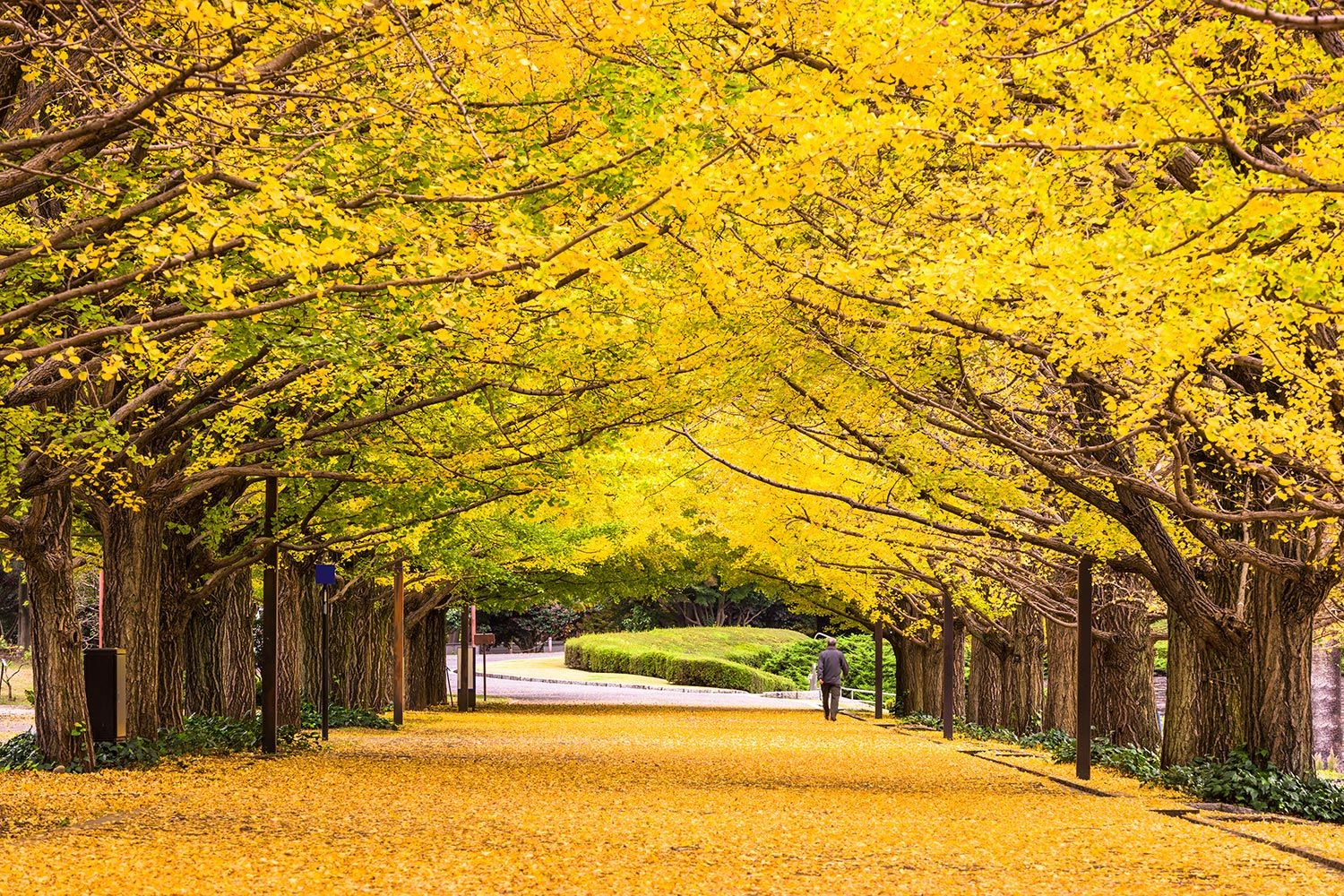 Most Beautiful Natural Picture Of The World - HD Wallpaper 