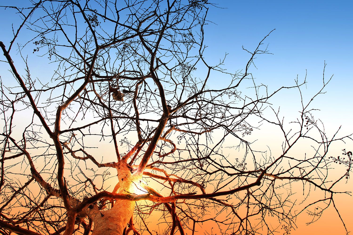 Red Sky At Morning - HD Wallpaper 