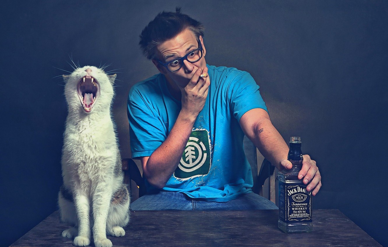 Photo Wallpaper Bottle, Cat, Jack Daniels, Jack Daniel, - Men With Cat - HD Wallpaper 