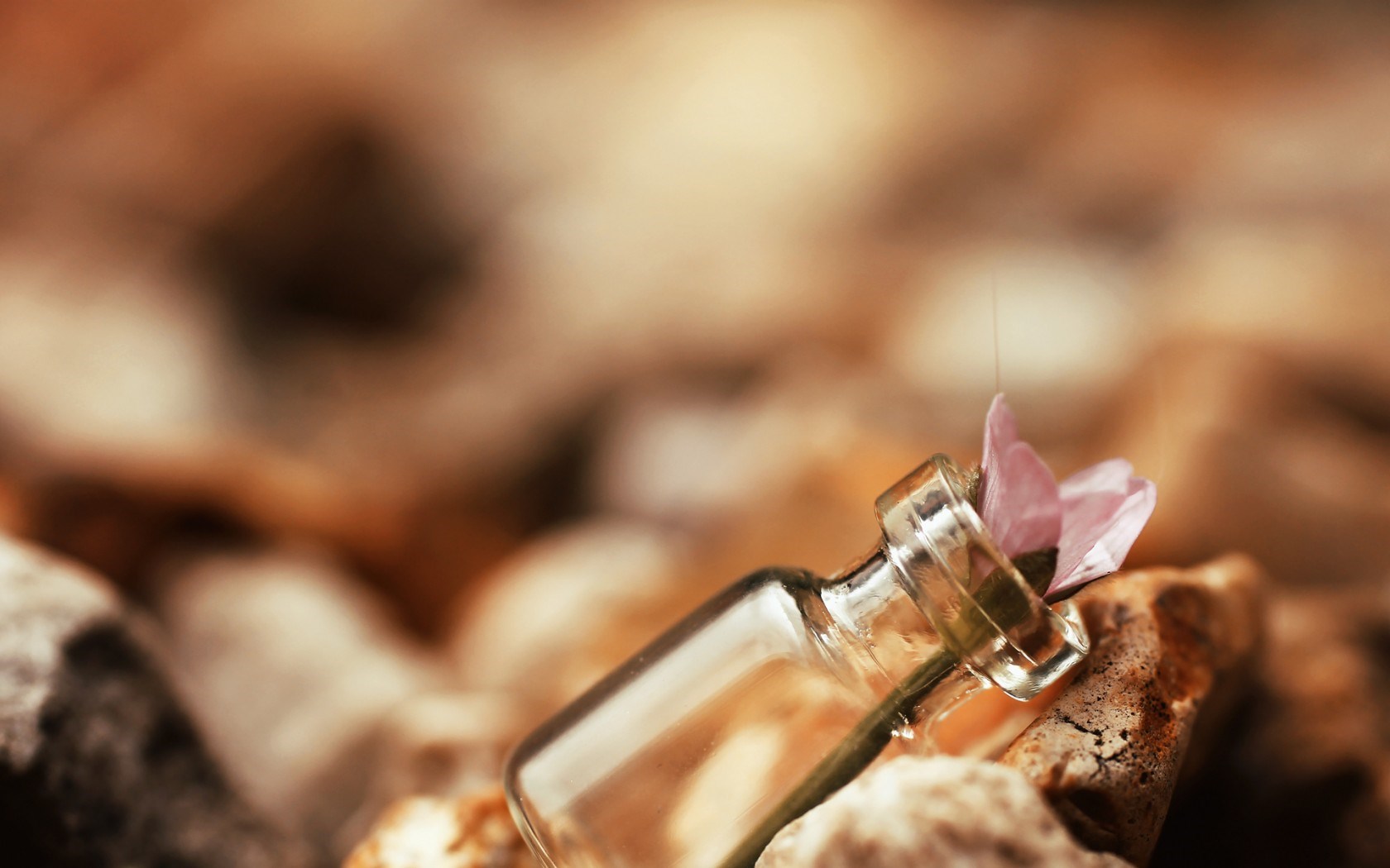 Full Hd Bottle, Krysta Blanford - HD Wallpaper 