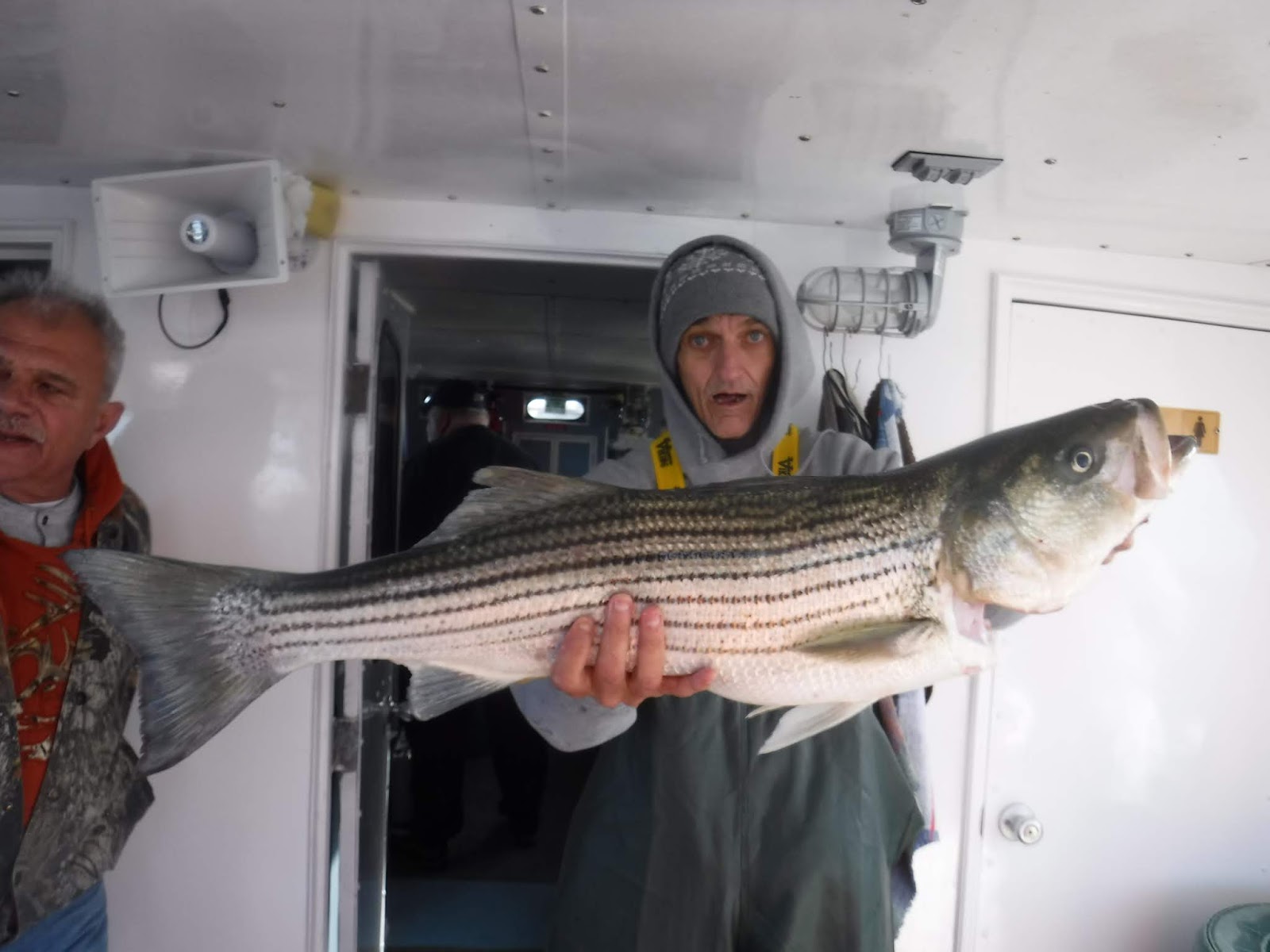 Striper Bass - HD Wallpaper 