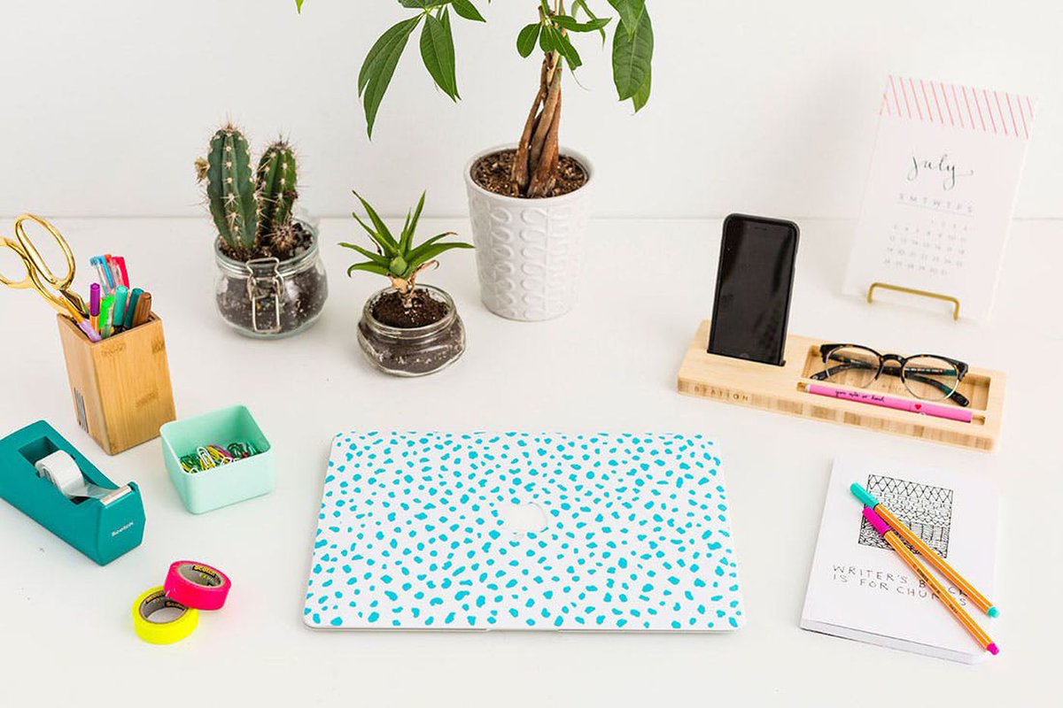 Houseplant - HD Wallpaper 