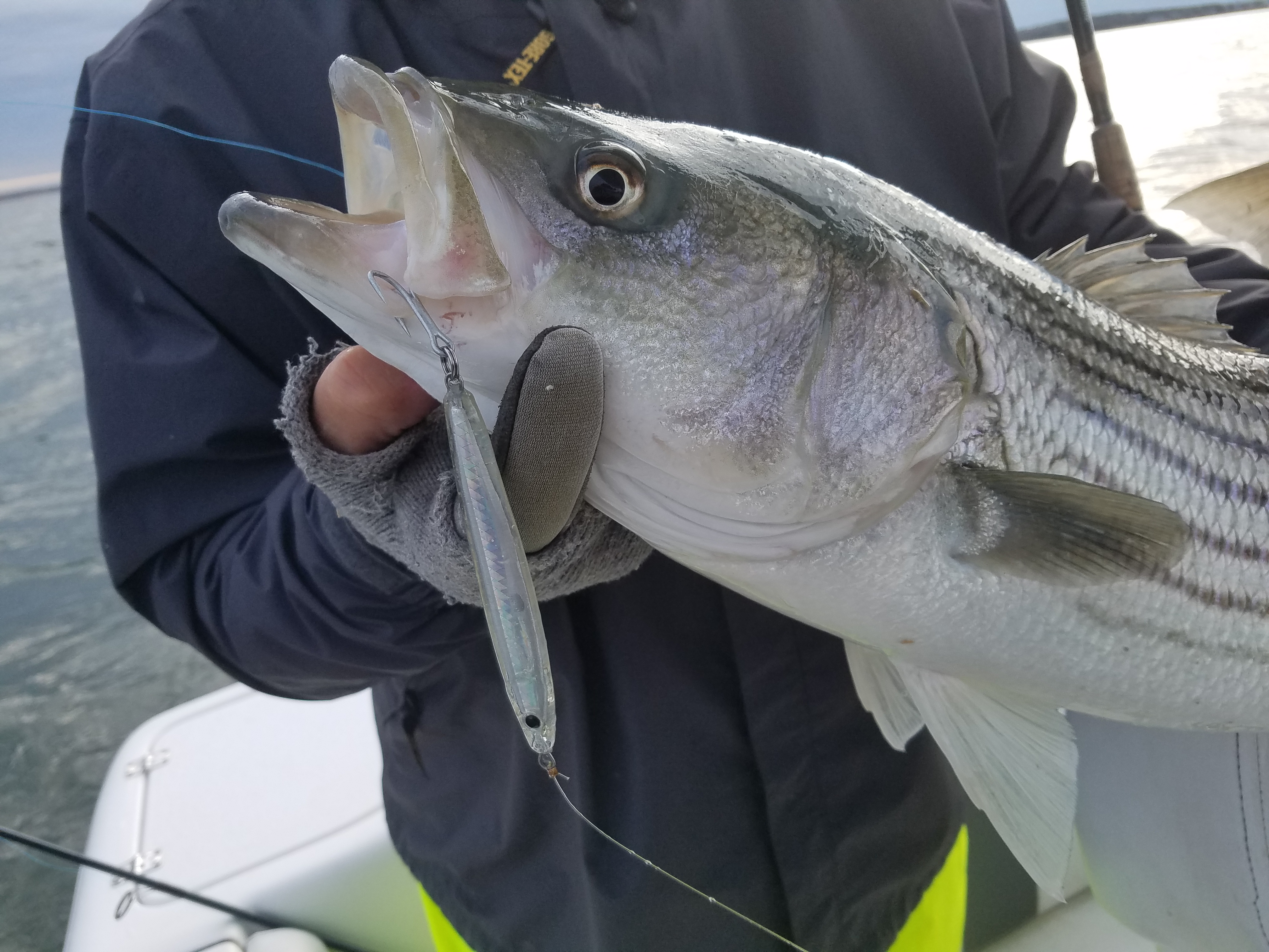 Recreational Fishing - HD Wallpaper 