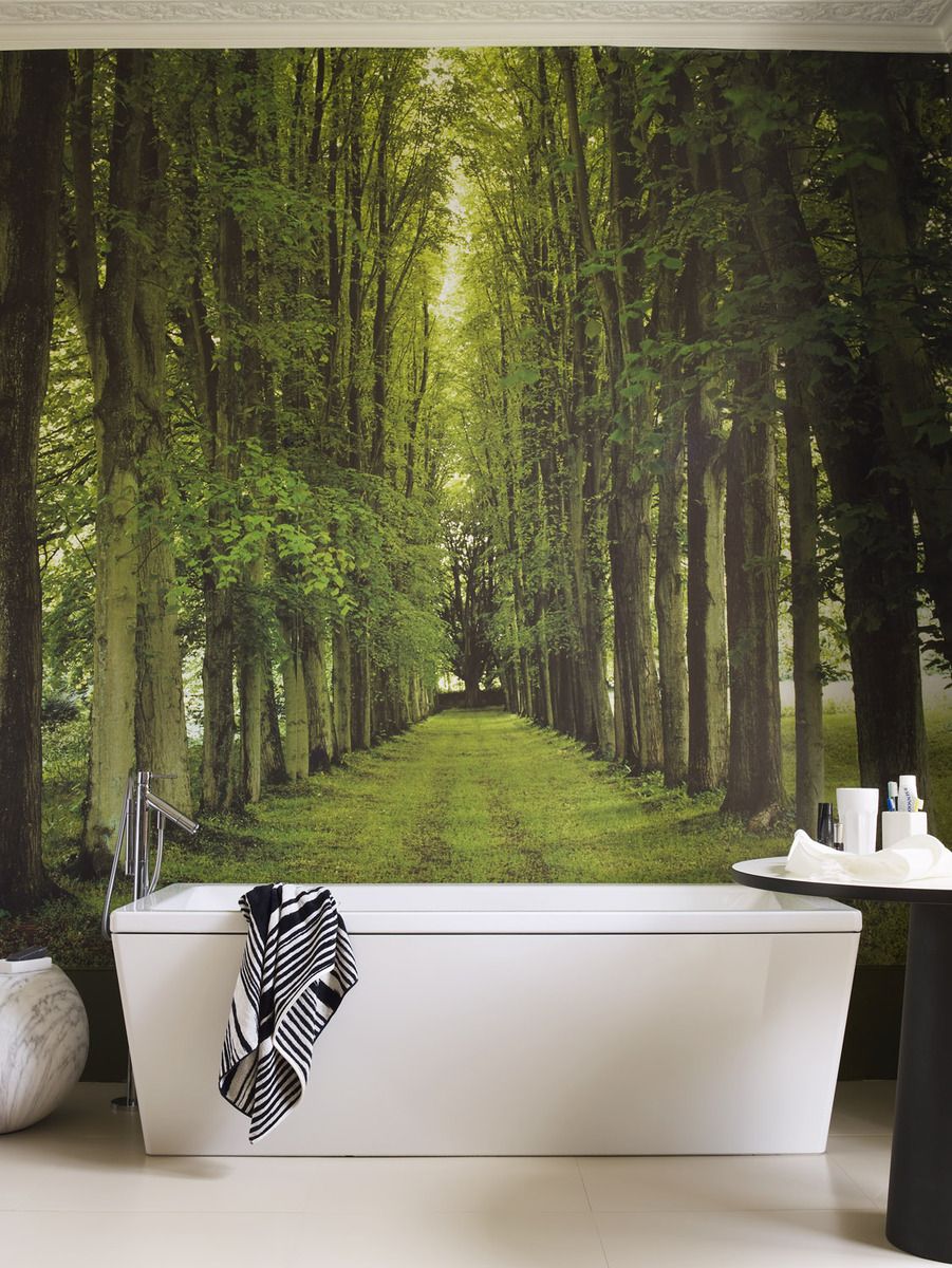 Forest Wallpaper Feature Wall - HD Wallpaper 