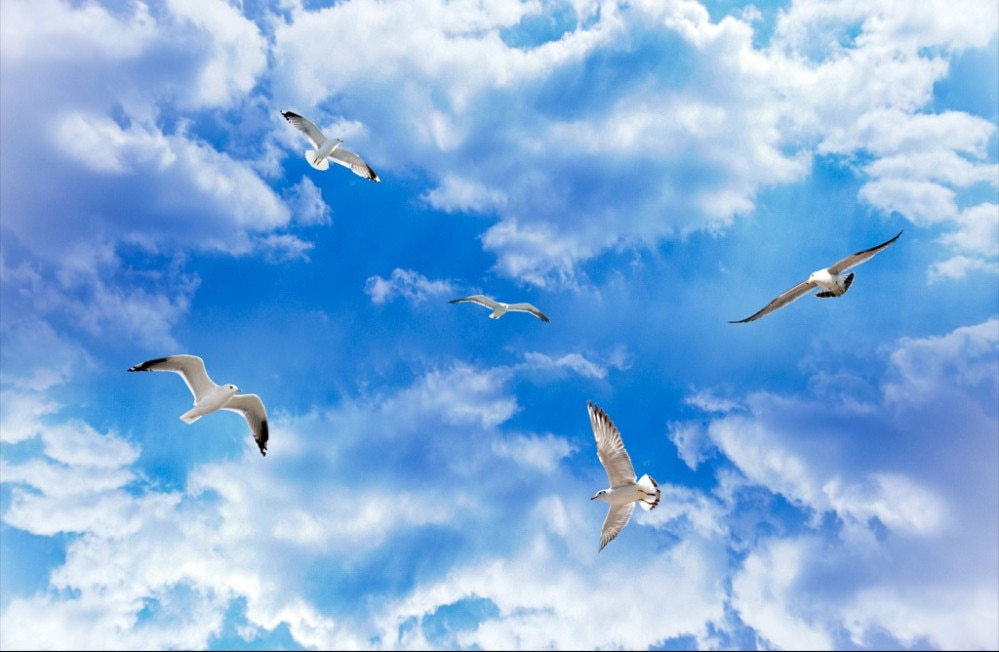 Techos Con Papel Tapiz - HD Wallpaper 