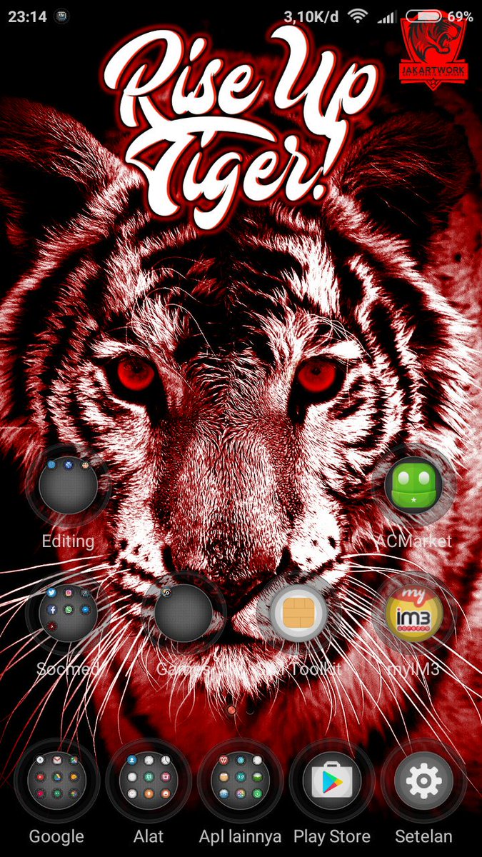 White Tiger - HD Wallpaper 