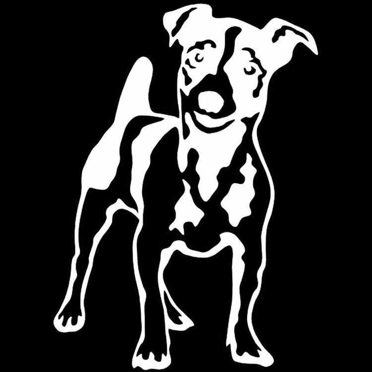 3*14cm Jack Russell Terrier Car Sticker Decal Fun Pet - Jack Russell Terrier - HD Wallpaper 