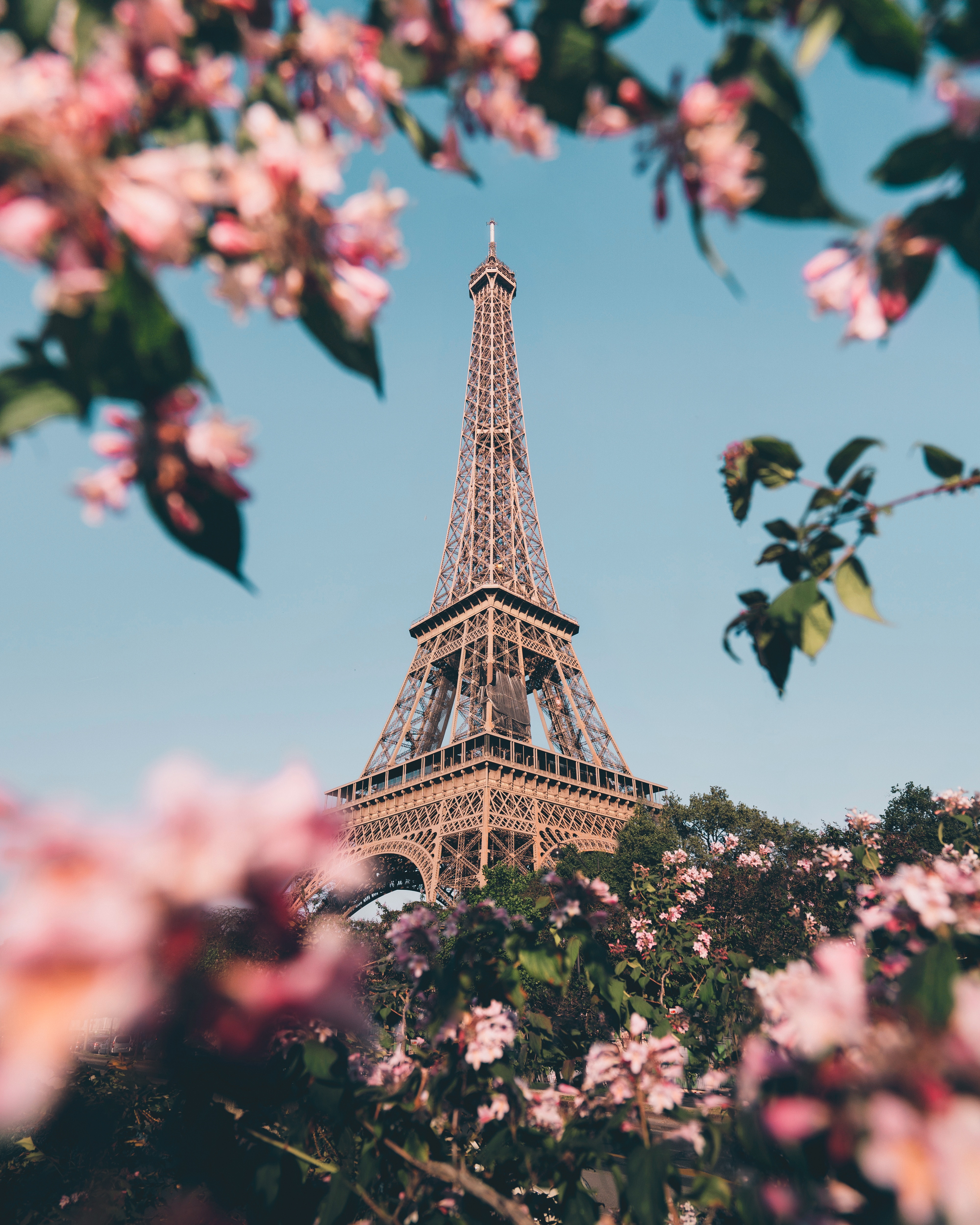 Eiffel Tower - 4000x5000 Wallpaper 