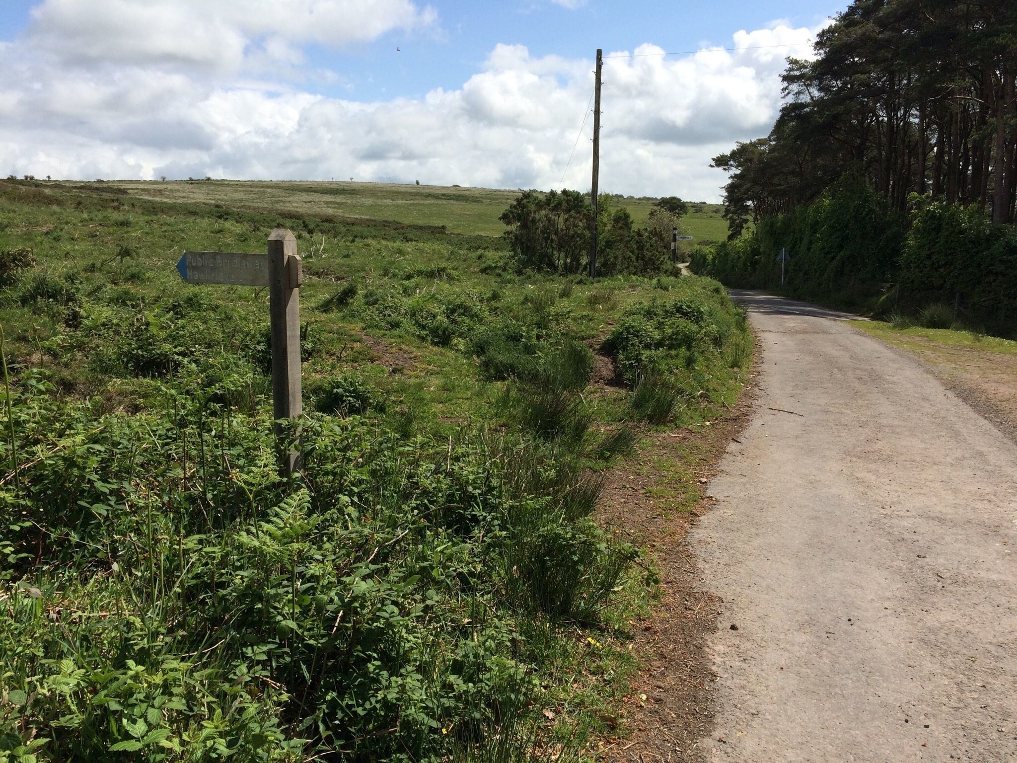 Dirt Road - HD Wallpaper 