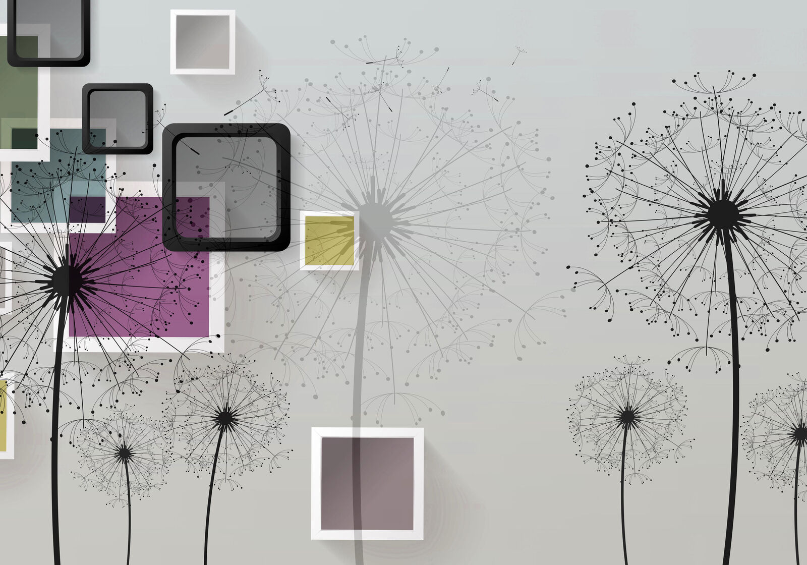 Tapete Mit Pusteblume Türkis - HD Wallpaper 