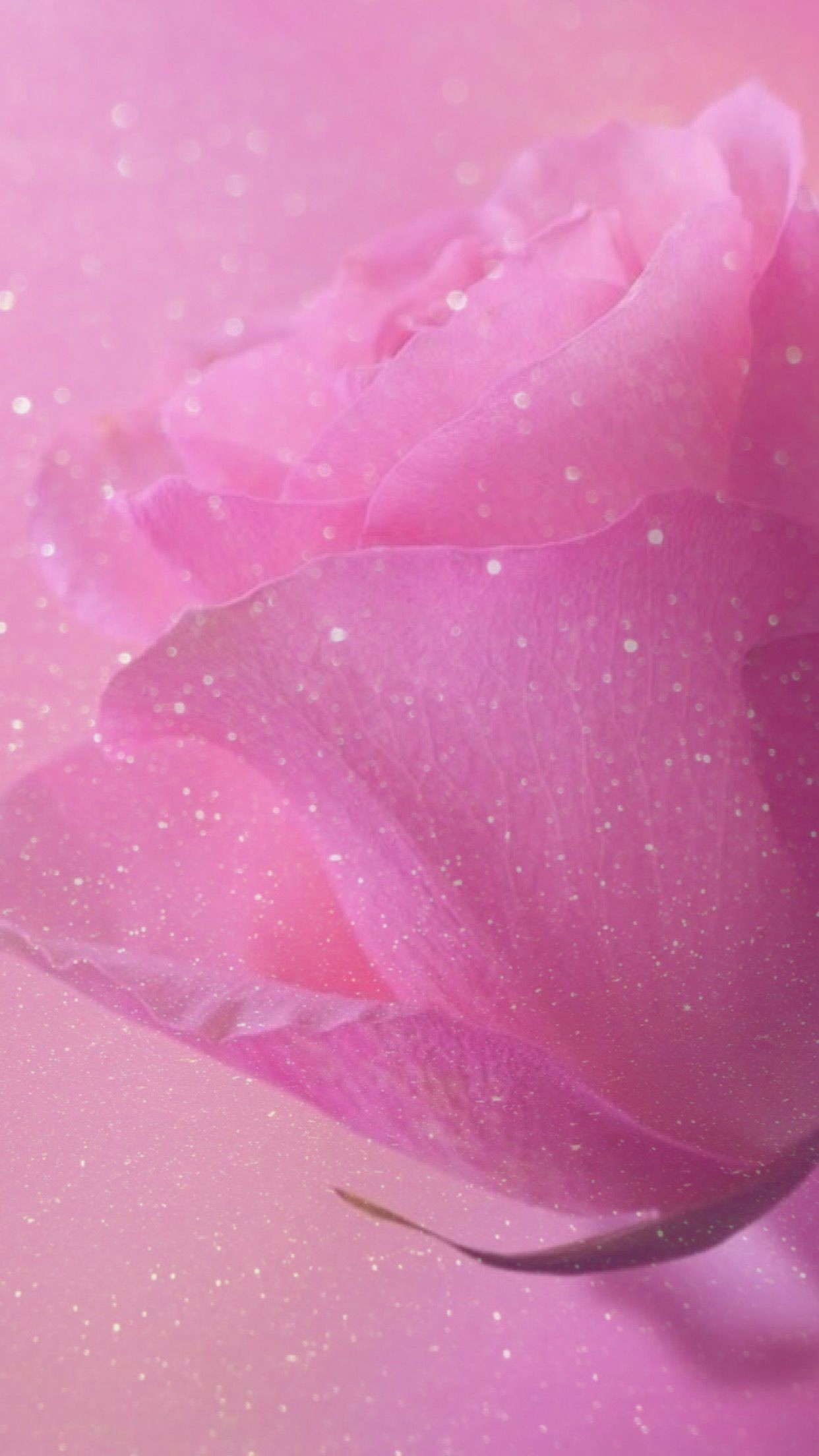 1242x2208, Rose, Sparkle, Glitter, Wallpaper, Background, - Girly Glitter Wallpaper Hd - HD Wallpaper 
