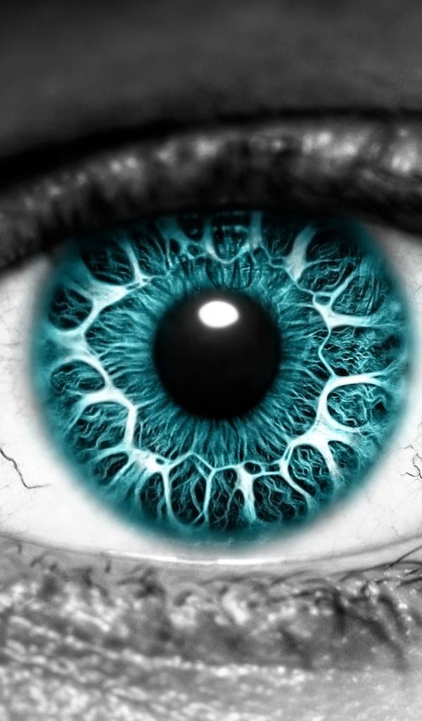 Turquoise Eyes - HD Wallpaper 