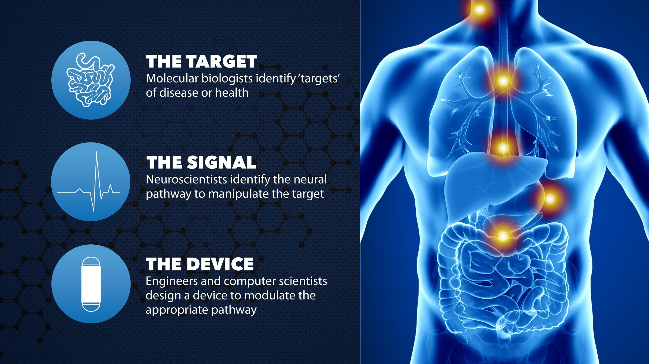 Bioelectronic Medicine Bioelectronic Devices - HD Wallpaper 