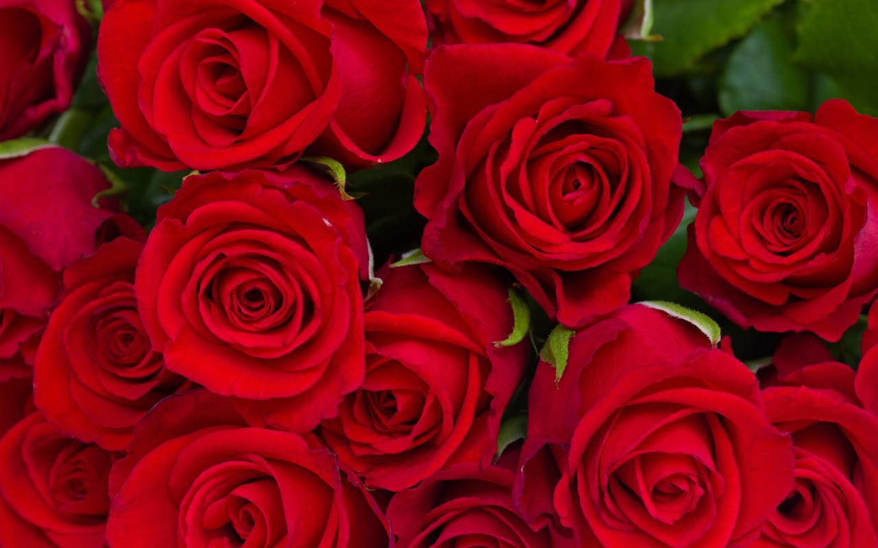 Diamonds And Roses - HD Wallpaper 