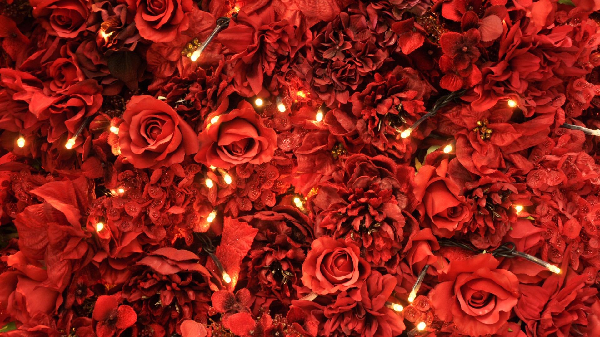 Red Roses And Lights - HD Wallpaper 