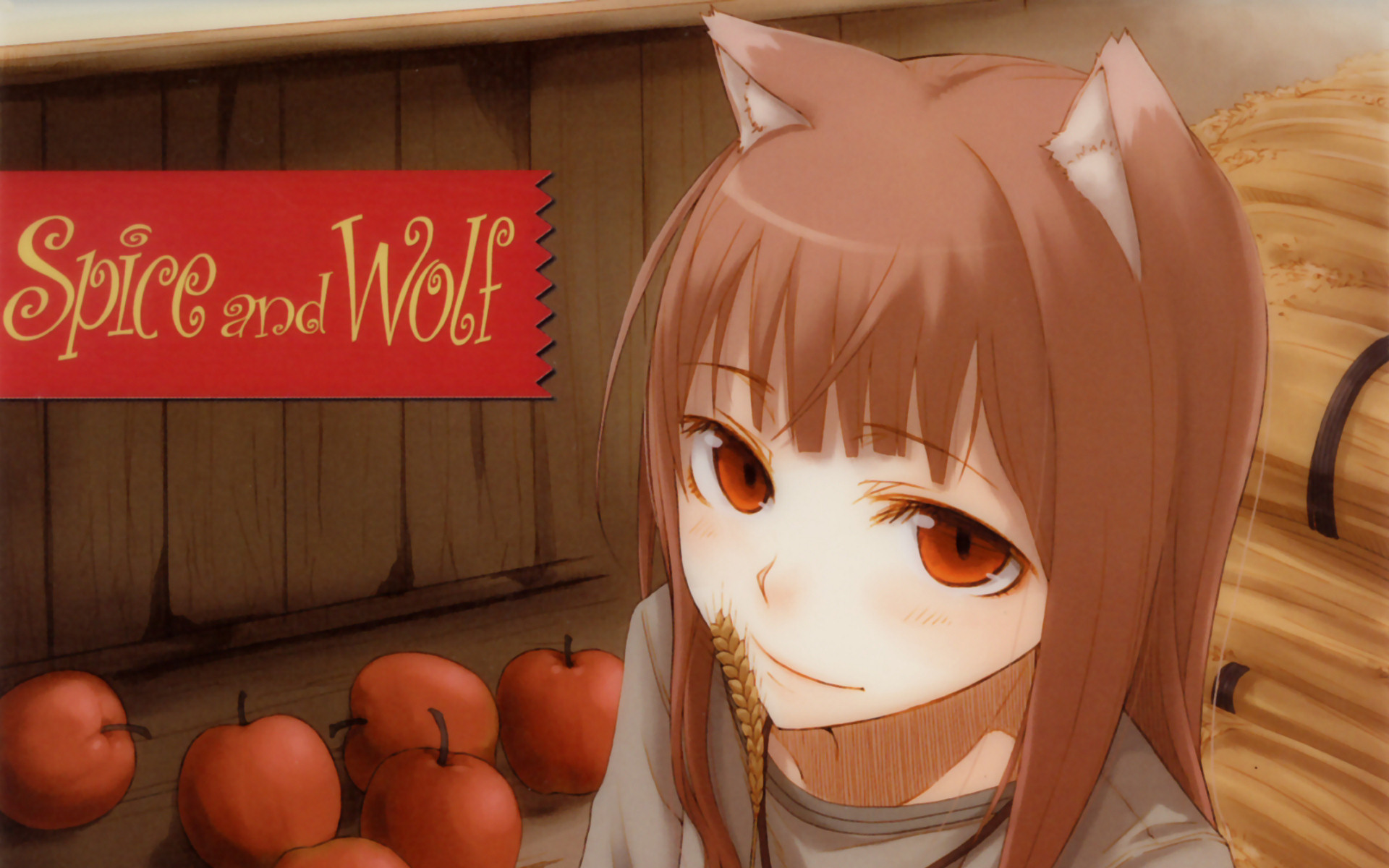 Spice And Wolf - HD Wallpaper 