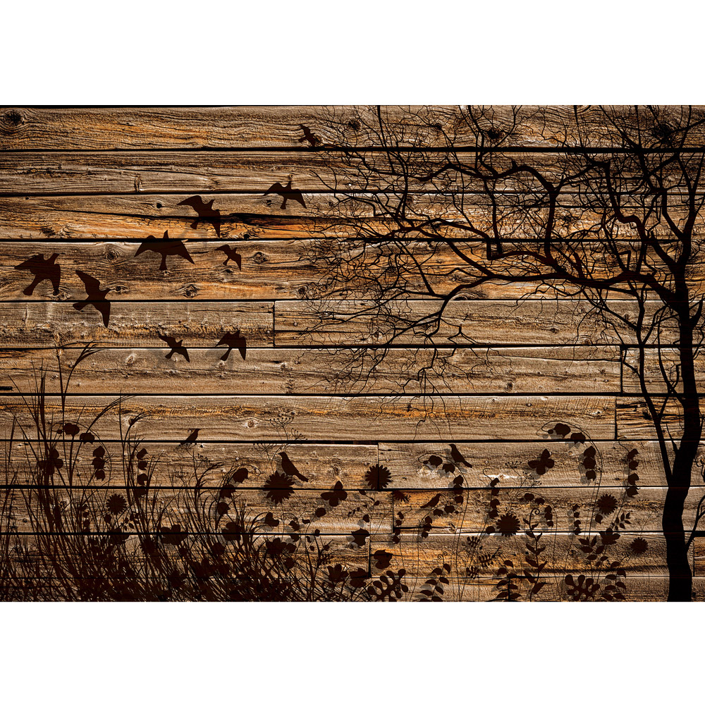 Tapet Plank - HD Wallpaper 
