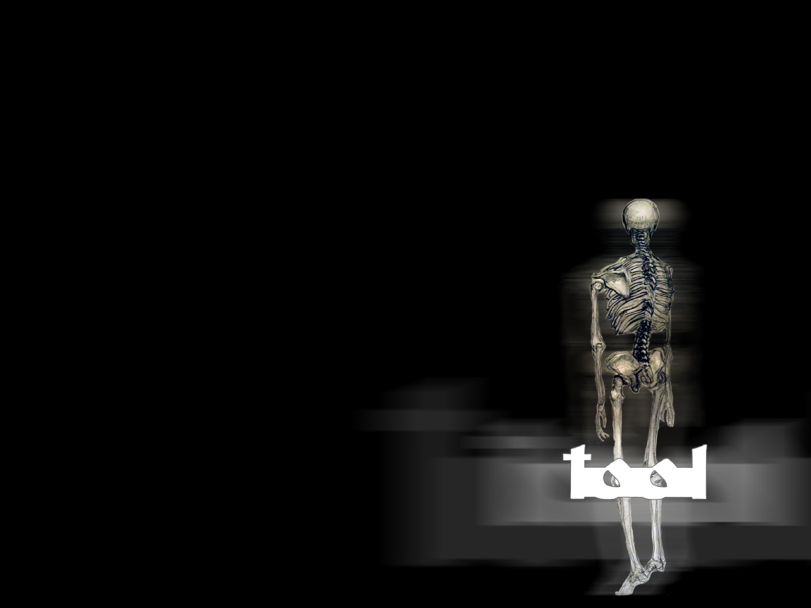 Tool Backgrounds - HD Wallpaper 