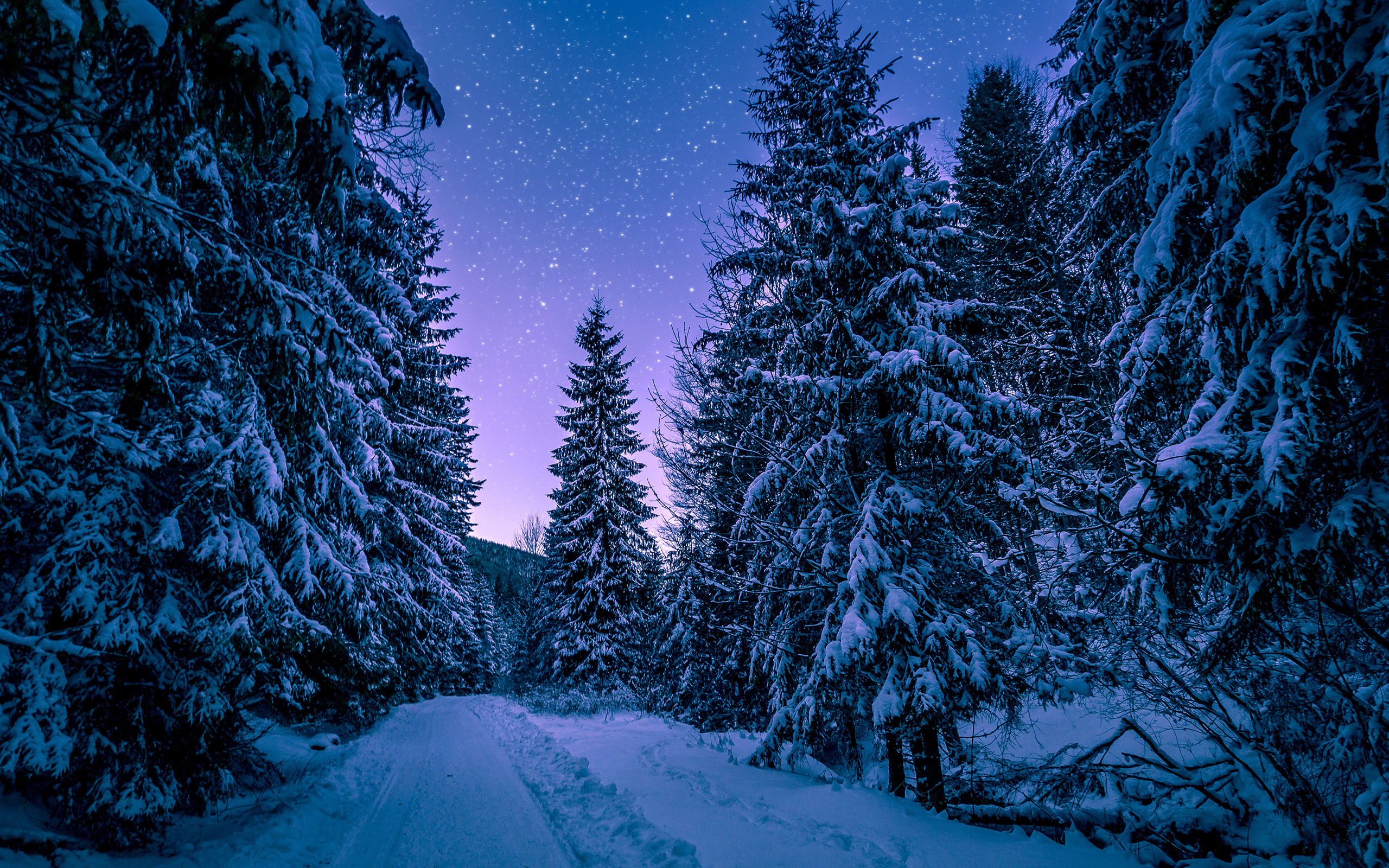 Winter Night - HD Wallpaper 
