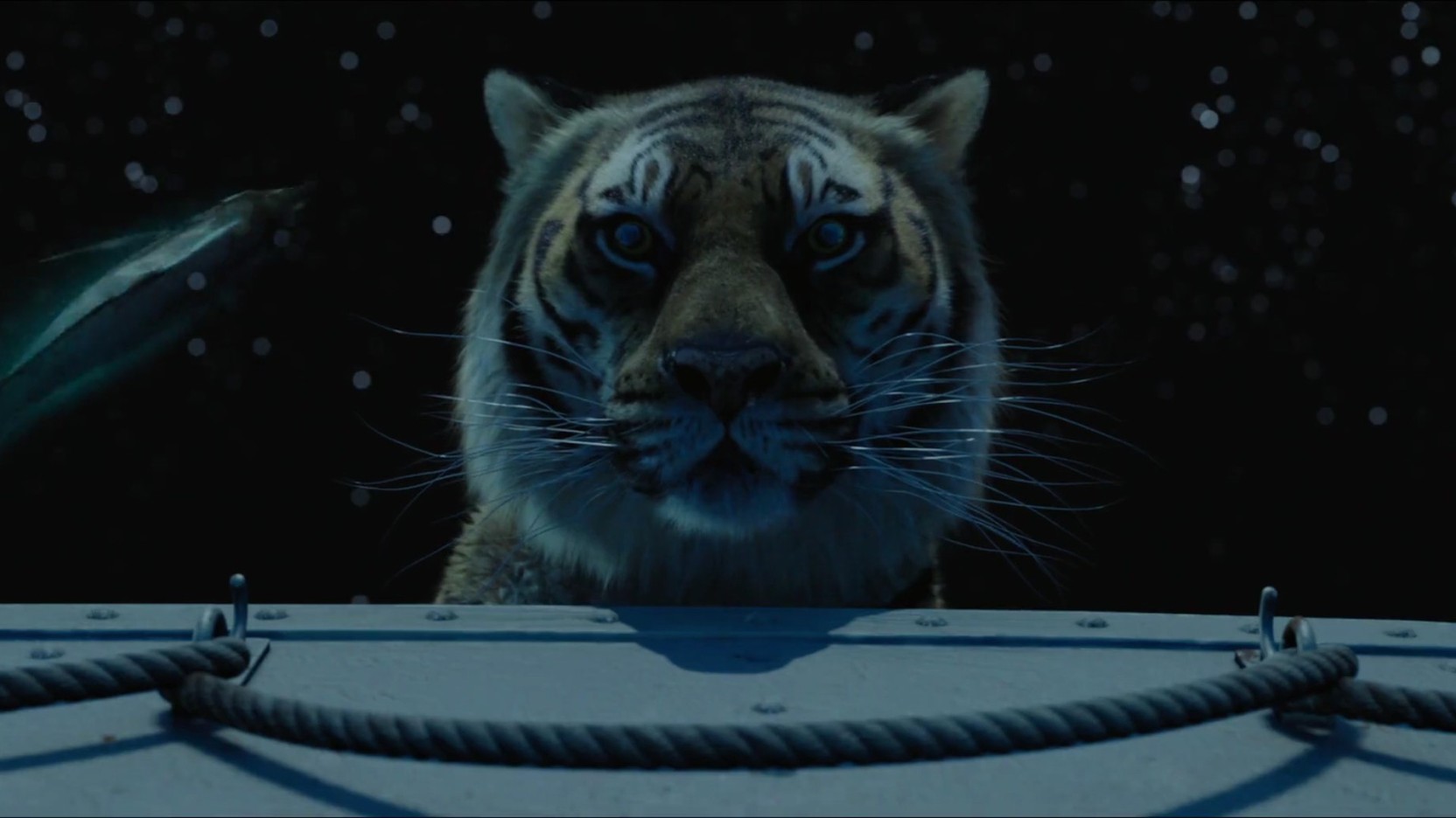 Life Of Pi Wallpaper Hd - HD Wallpaper 