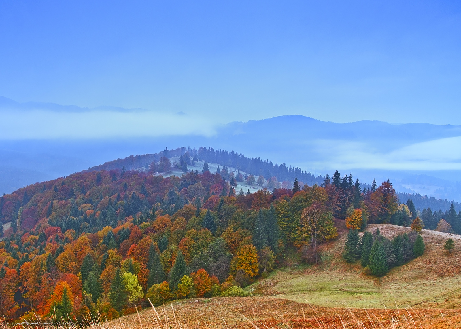 Download Wallpaper Romania, Hills, Forest, Autumn Free - Desktop Wallpaper Foggy Autumn - HD Wallpaper 