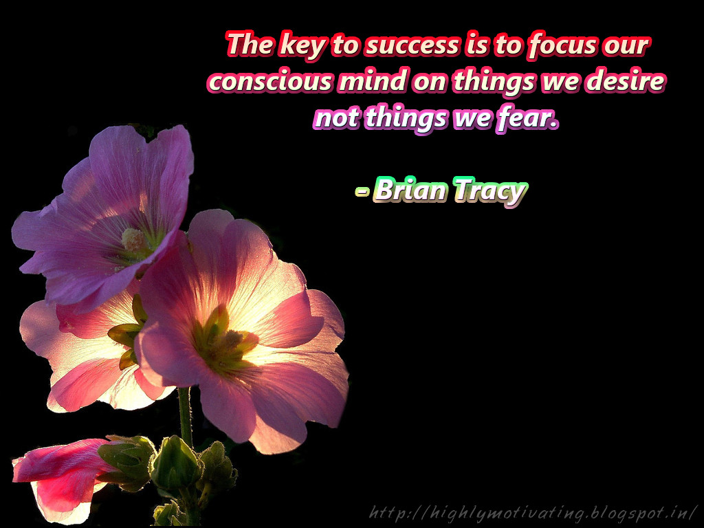 Good Morning Of Rare Flowers - HD Wallpaper 