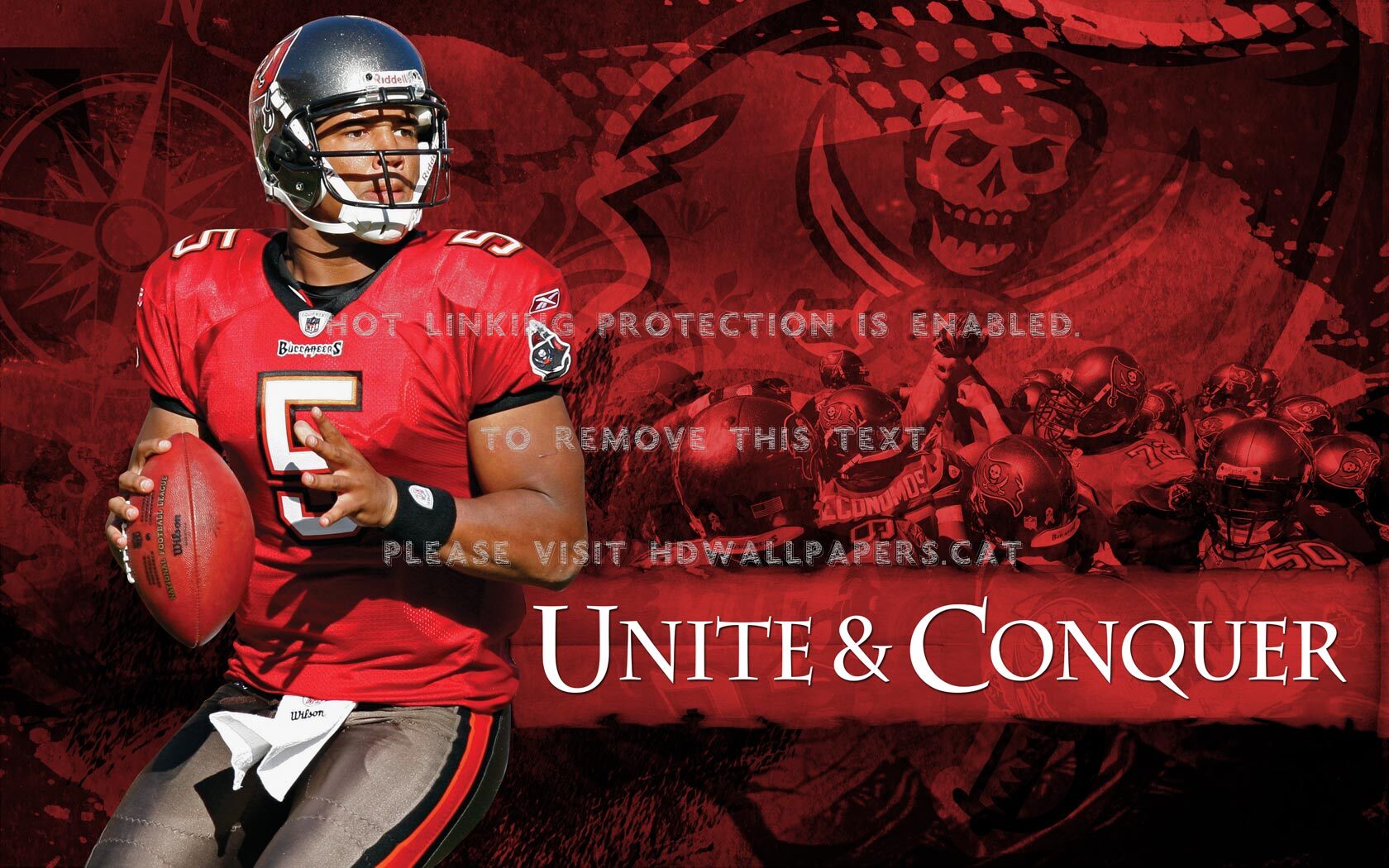Josh Freeman Tampa Bay Buccaneers Qb 21 - Josh Freeman - HD Wallpaper 